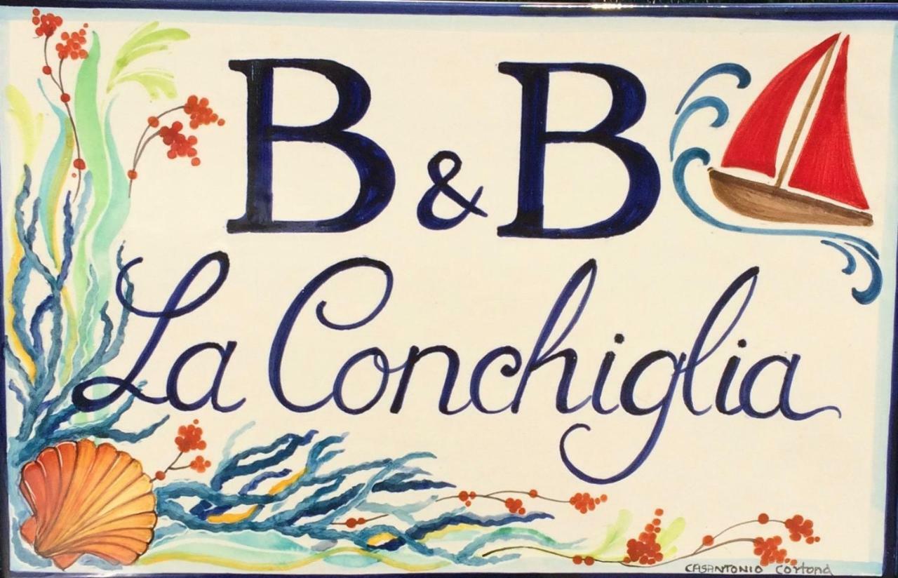 西维尔诺瓦·马尔凯Casa "La Conchiglia"住宿加早餐旅馆 外观 照片